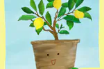 PositiviTree